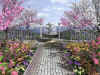 garden.jpg (215947 bytes)